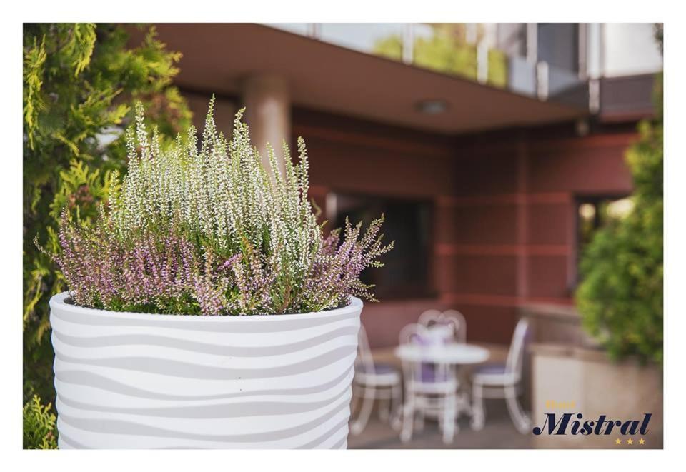 מארקי Hotel Mistral מראה חיצוני תמונה